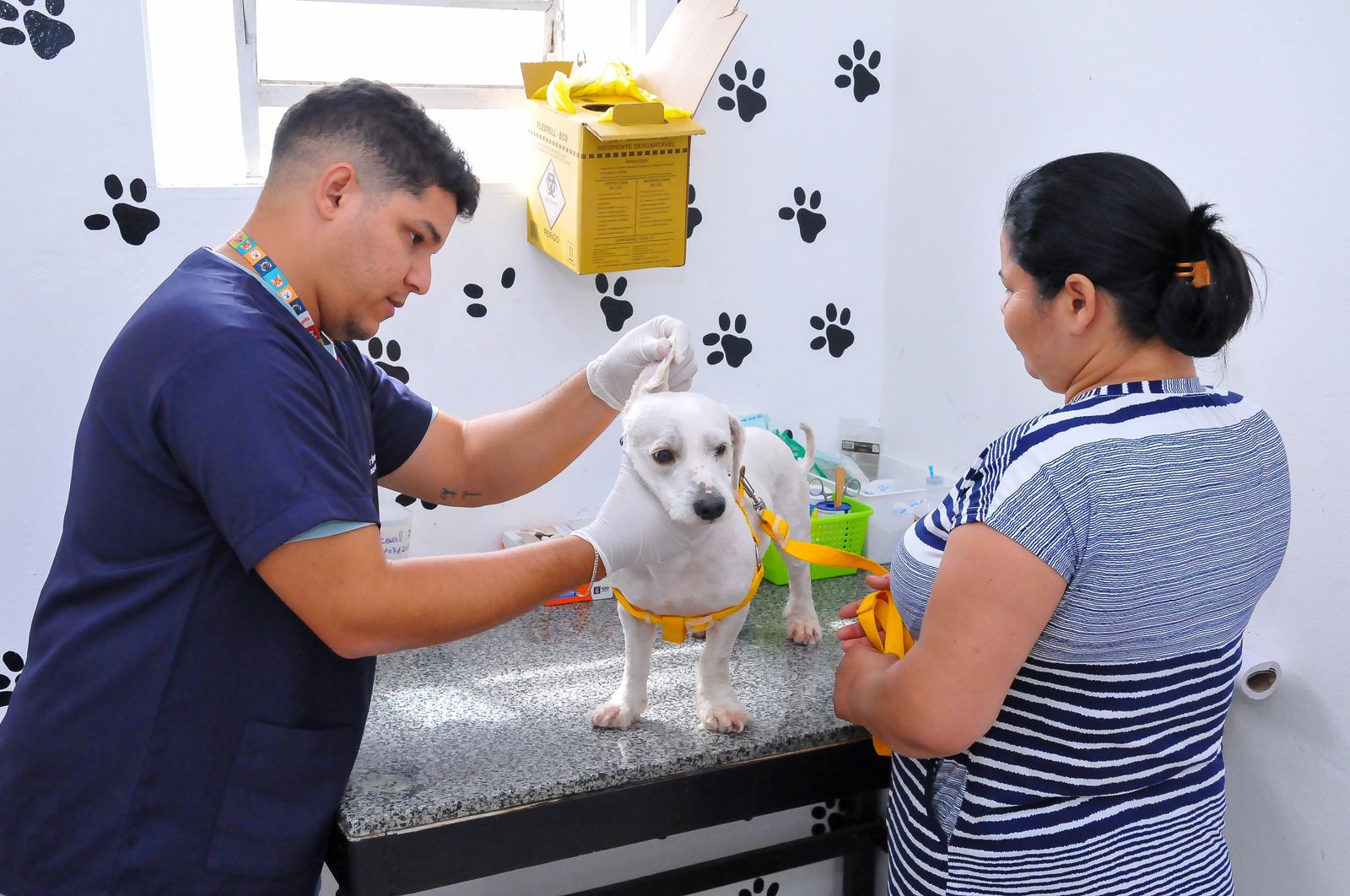 Prefeitura de Lagarto realizou mais de 1.000 cirurgias de castração em animais do município