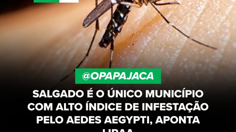 Salgado é o único município com alto índice de infestação pelo Aedes, aponta LirAa