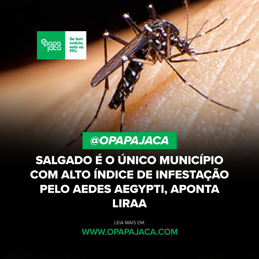 Salgado é o único município com alto índice de infestação pelo Aedes, aponta LirAa