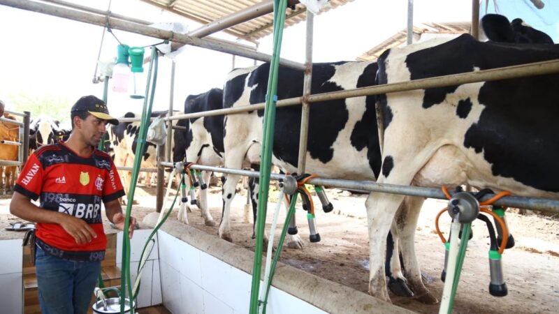 Governo de Sergipe fortalece produção leiteira e impulsiona a agropecuária no estado