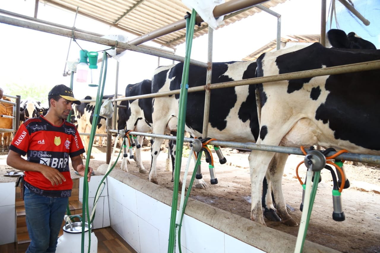 Governo de Sergipe fortalece produção leiteira e impulsiona a agropecuária no estado